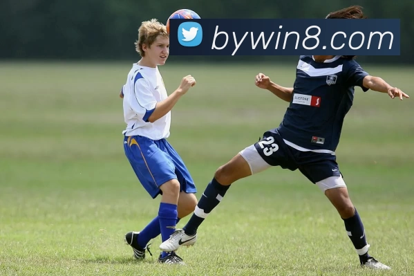 博源国际官网平台生态图